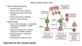 CD4 CD8 T cells immunology lecture slides | PPTX