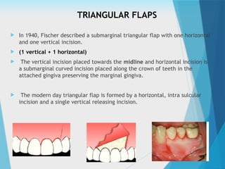 TRIANGULAR FLAPS
 In 1940, Fischer described a submarginal triangular flap with one horizontal
and one vertical incision.
 (1 vertical + 1 horizontal)
 The vertical incision placed towards the midline and horizontal incision is
a submarginal curved incision placed along the crown of teeth in the
attached gingiva preserving the marginal gingiva.
 The modern day triangular flap is formed by a horizontal, intra sulcular
incision and a single vertical releasing incision.
 