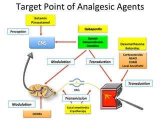 7. Pain management in ED. Essential for medic coworker | PDF