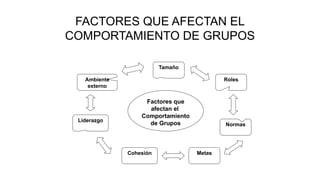 FACTORES QUE AFECTAN EL
COMPORTAMIENTO DE GRUPOS
Factores que
afectan el
Comportamiento
de Grupos
Tamaño
Roles
Ambiente
externo
Normas
Metas
Cohesión
Liderazgo
 