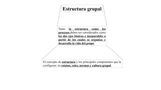 Estructura grupal
Tanto la estructura como los
procesos deben ser considerados como
los dos ejes básicos e inseparables a
partir de los cuales se organiza y
desarrolla la vida del grupo.
El concepto de estructura y los principales componentes que la
configuran: en estatus, roles, normas y cultura grupal.
 
