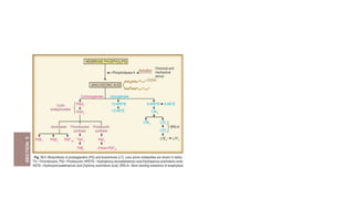 Non steroidal anti inflammatory drugs pharmacology | PPTX