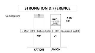 Fluid and Acid Base Balance Fluid and Acid Base Balance | PDF