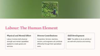 Labour: The Human Element
Physical and Mental Effort
Labour involves both physical
strength and mental capabilities
applied to create goods and
services.
Diverse Contributions
Carpenters, farmers, teachers,
doctors, and engineers all contribute
differently through their specialized
work.
Skill Development
Skill: The ability to do an activity or
job well with practice and training.
 