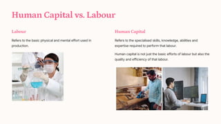 Human Capital vs. Labour
Labour
Refers to the basic physical and mental effort used in
production.
Human Capital
Refers to the specialised skills, knowledge, abilities and
expertise required to perform that labour.
Human capital is not just the basic efforts of labour but also the
quality and efficiency of that labour.
 