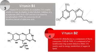vitamin Biochemistry Department College of Pharmacy | PPTX