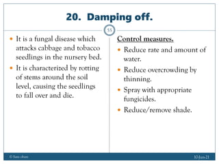 Agriculture form three notes chapter 7 Crop pests and diseases | PDF