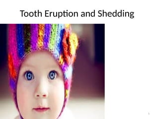 Eruption and Shedding of tooth and its development to functional | PPTX