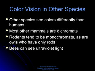 7. Sensation and Perception presentation | PPT