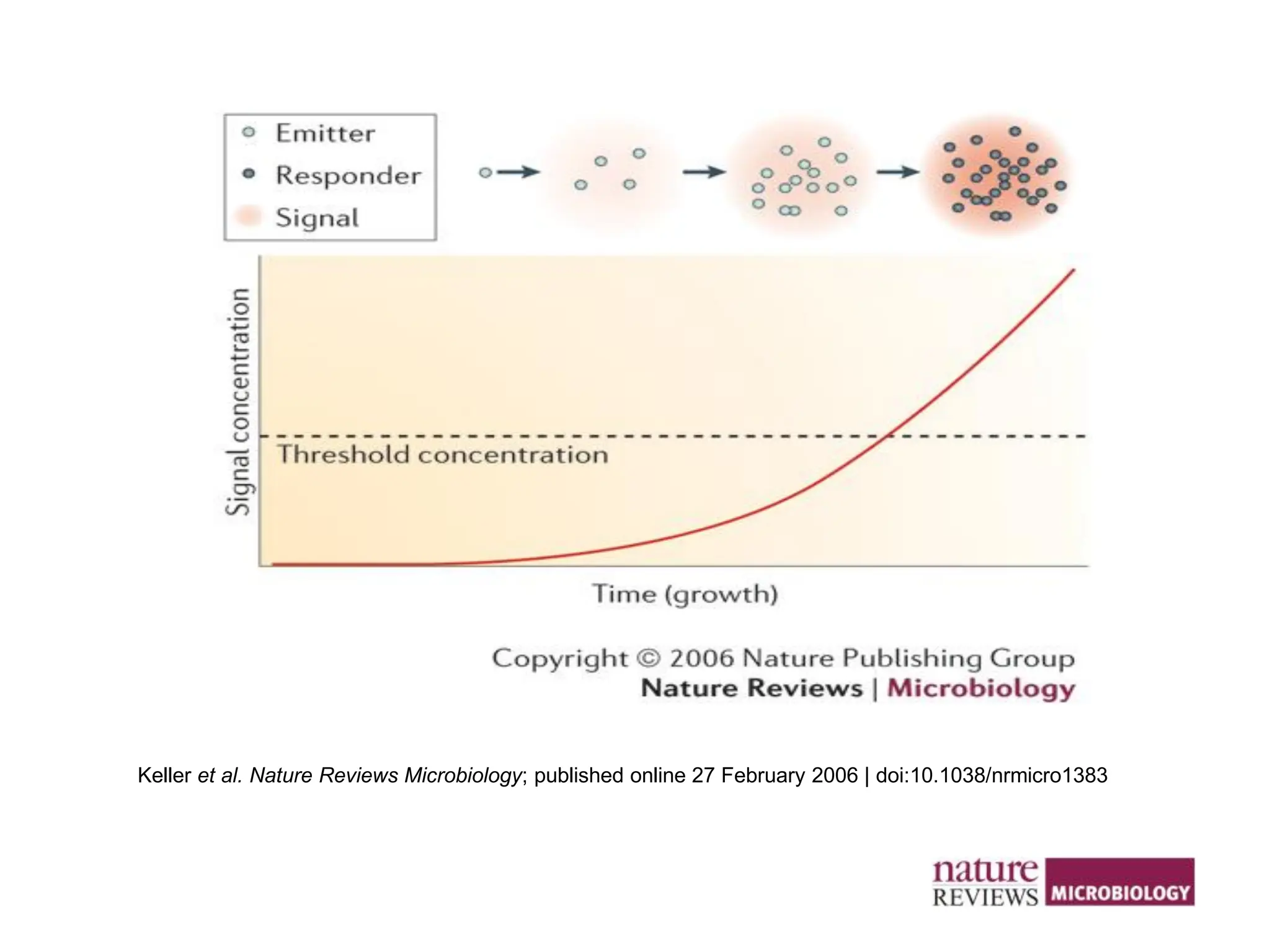 Keller et al. Nature Reviews Microbiology; published online 27 February 2006 | doi:10.1038/nrmicro1383
 