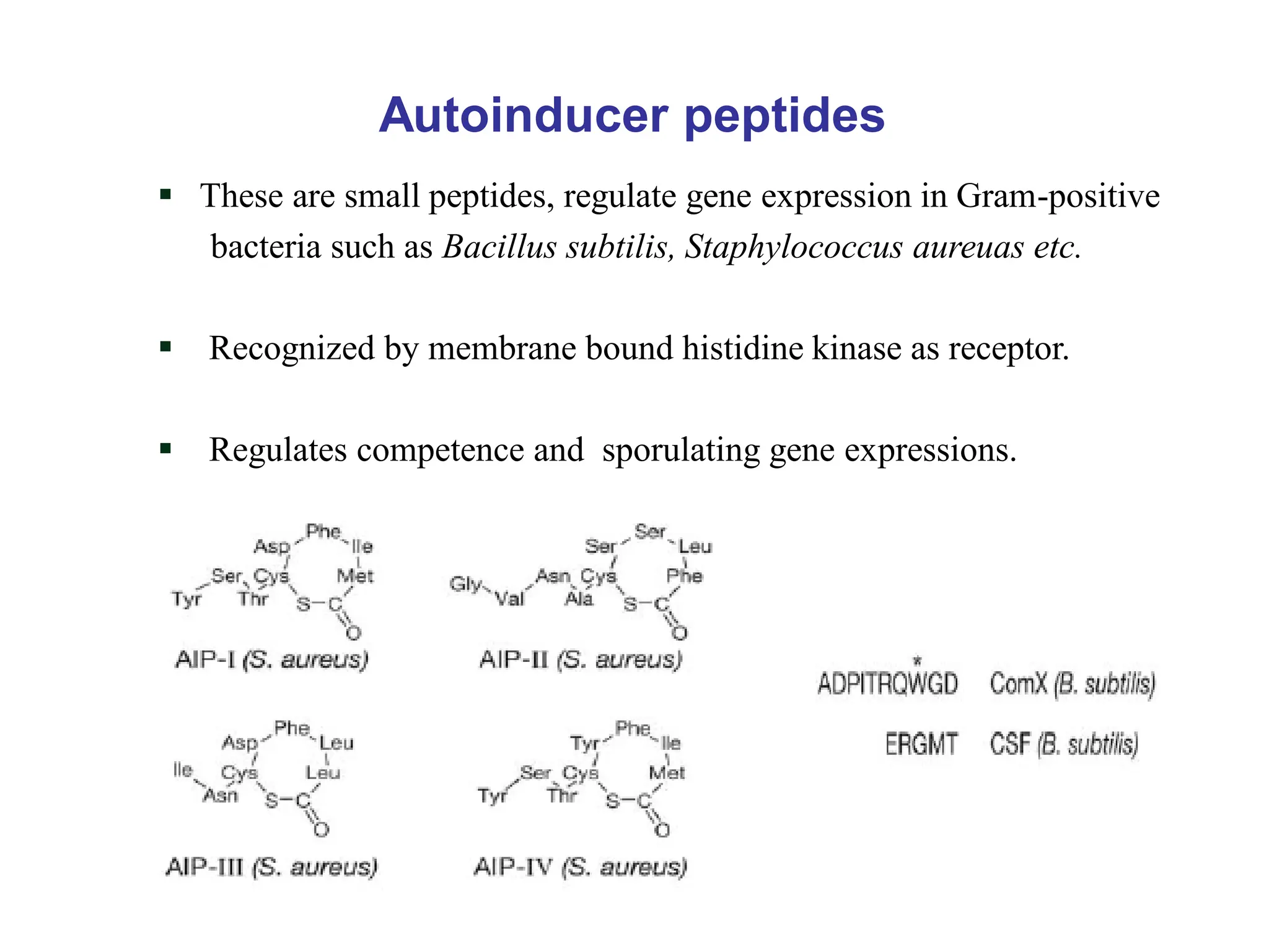 Autoinducer peptides
 These are small peptides, regulate gene expression in Gram-positive
bacteria such as Bacillus subtilis, Staphylococcus aureuas etc.
 Recognized by membrane bound histidine kinase as receptor.
 Regulates competence and sporulating gene expressions.
 
