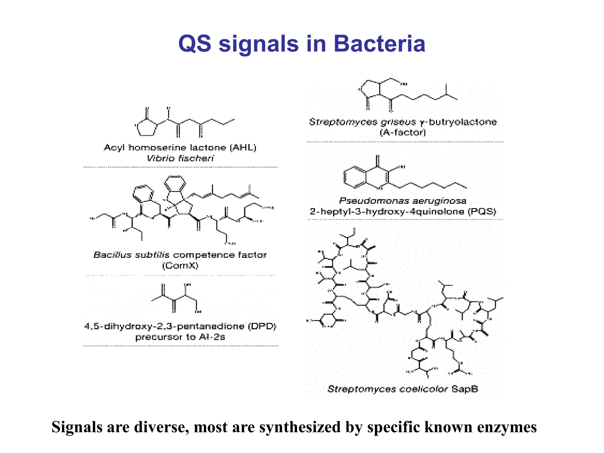 QS signals in Bacteria
Signals are diverse, most are synthesized by specific known enzymes
 