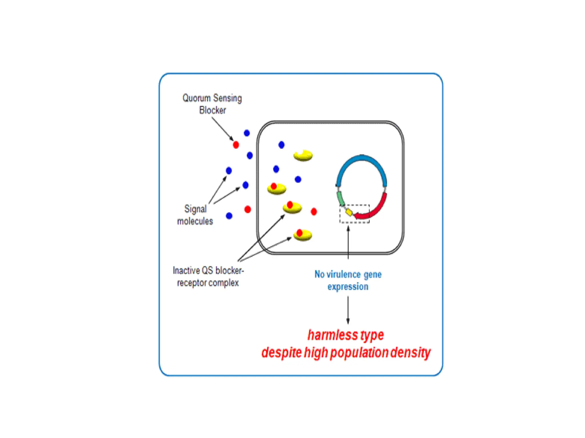 7.2 quorum sensing 7.2 quorum sensing.pdf