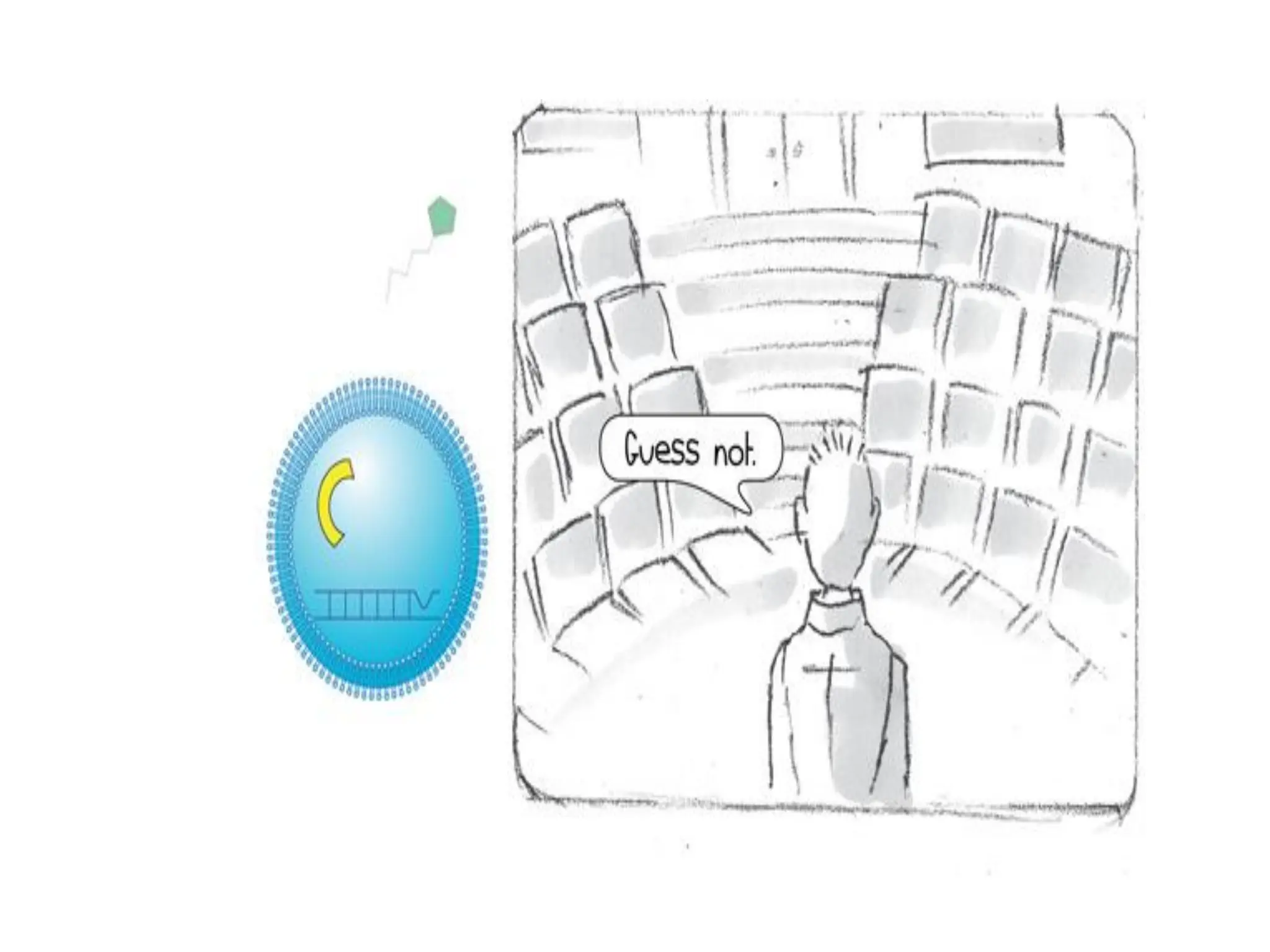 7.2 quorum sensing 7.2 quorum sensing.pdf