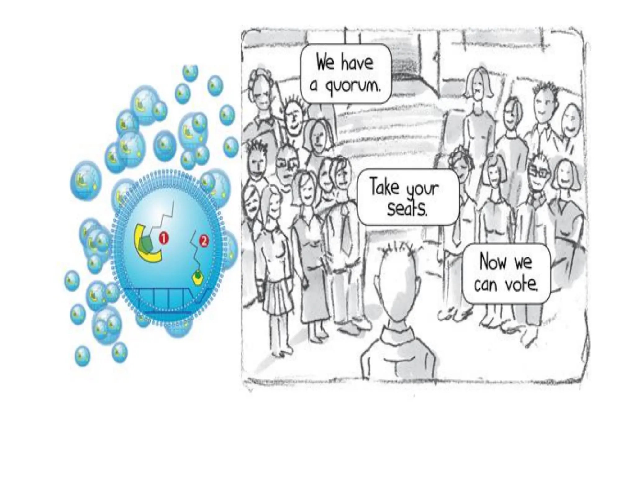 7.2 quorum sensing 7.2 quorum sensing.pdf