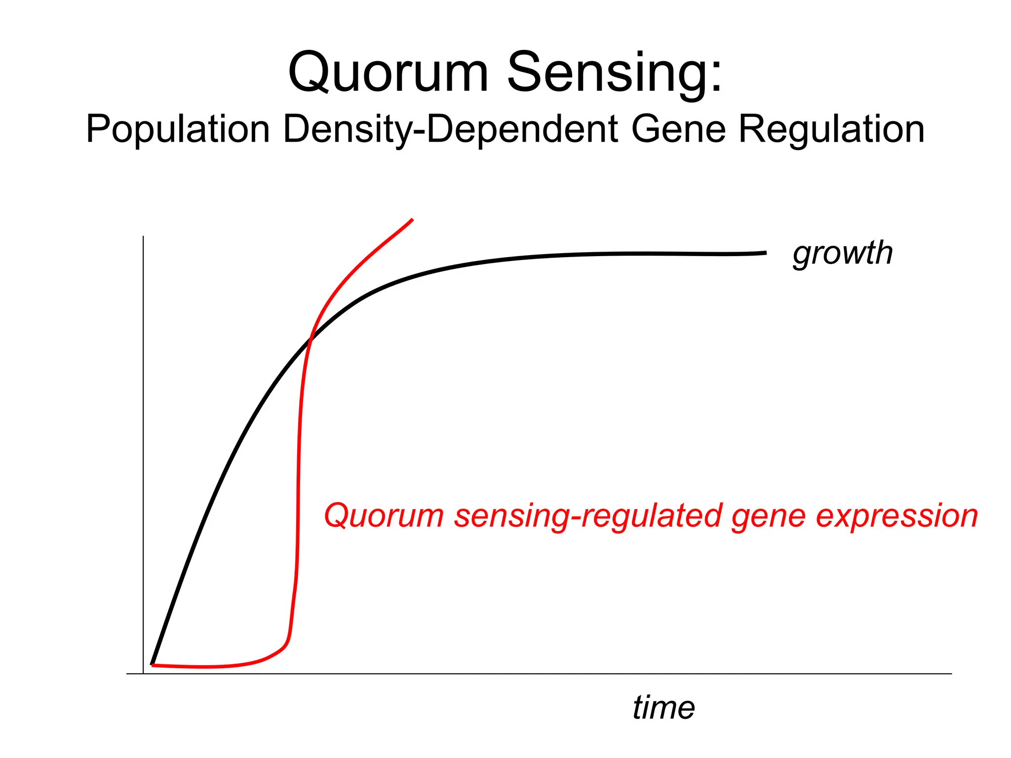 Quorum Sensing:
Population Density-Dependent Gene Regulation
time
growth
Quorum sensing-regulated gene expression
 