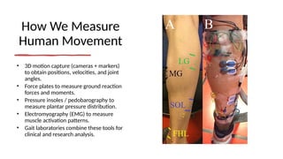 How We Measure
Human Movement
• 3D motion capture (cameras + markers)
to obtain positions, velocities, and joint
angles.
• Force plates to measure ground reaction
forces and moments.
• Pressure insoles / pedobarography to
measure plantar pressure distribution.
• Electromyography (EMG) to measure
muscle activation patterns.
• Gait laboratories combine these tools for
clinical and research analysis.
 