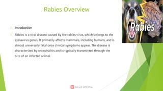 7. Rabies.pdf presentation well understandable | PDF