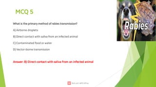 7. Rabies.pdf presentation well understandable | PDF