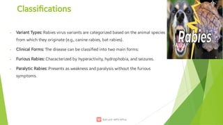 7. Rabies.pdf presentation well understandable | PDF