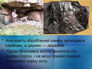 • Але навіть оброблений камінь залишався
каменем, а дерево — деревом.
• Однак блискавка могла запалити ліс,
дерево горіло, і на місці пожежі людина
знаходила чорну золу.
 