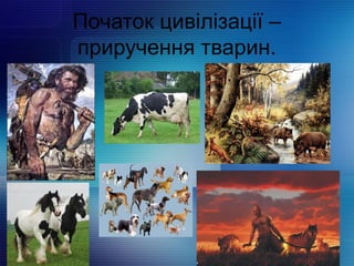 Початок цивілізації –
приручення тварин.
 