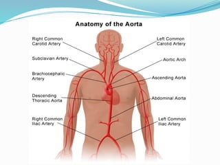 Anatomy of Cardiovascular system of Human body.pptx