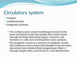 Anatomy of Cardiovascular system of Human body.pptx