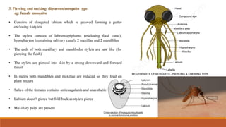 Stylet Insect Comprehensive Overview of Insect Mouthparts and Their Types | PDF