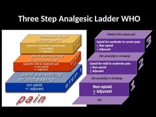 Adsuvan Rug Comprehensive Overview of Adjuvant Analgesic Drugs in Cancer Pain ...