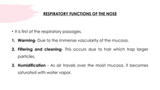 Human Respiratory System and Its Functions | PPTX