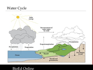 Interdependence of Life: Exploring Ecosystems, Biomes, and ...