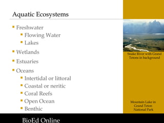 Interdependence of Life: Exploring Ecosystems, Biomes, and ...