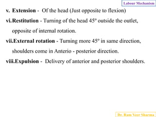 Comprehensive Overview of the Mechanism of Labour and Cardinal ...