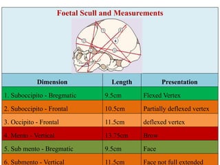 Deflexed Comprehensive Clinical Pelvimetry for Obstetric Assessment and Fetal ...