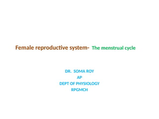 7.4.26 UG Female reproductive system.pptx
