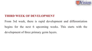 Comprehensive Overview of Embryological and Fetal Development Stages | PPTX