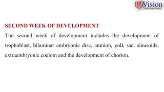 Comprehensive Overview of Embryological and Fetal Development Stages | PPTX