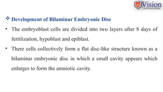 Comprehensive Overview of Embryological and Fetal Development Stages | PPTX