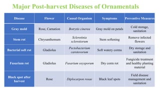 Major Post-harvest Diseases of Ornamentals
Disease Flower Causal Organism Symptoms Preventive Measures
Gray mold Rose, Carnation Botrytis cinerea Gray mold on petals
Cold storage,
sanitation
Stem rot Chrysanthemum
Sclerotinia
sclerotiorum
Stem softening
Remove infected
flowers
Bacterial soft rot Gladiolus
Pectobacterium
carotovorum
Soft watery corms
Dry storage and
sanitation
Fusarium rot Gladiolus Fusarium oxysporum Dry corm rot
Fungicide treatment
and healthy planting
material
Black spot after
harvest
Rose Diplocarpon rosae Black leaf spots
Field disease
management and
sanitation
 
