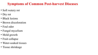 Symptoms of Common Post-harvest Diseases
• Soft watery rot
• Dry rot
• Black lesions
• Brown discoloration
• Foul odor
• Fungal mycelium
• Mold growth
• Fruit collapse
• Water-soaked tissues
• Tissue shrinkage
 