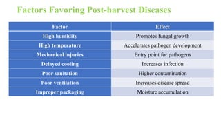Factors Favoring Post-harvest Diseases
Factor Effect
High humidity Promotes fungal growth
High temperature Accelerates pathogen development
Mechanical injuries Entry point for pathogens
Delayed cooling Increases infection
Poor sanitation Higher contamination
Poor ventilation Increases disease spread
Improper packaging Moisture accumulation
 
