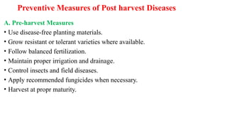 Preventive Measures of Post harvest Diseases
A. Pre-harvest Measures
• Use disease-free planting materials.
• Grow resistant or tolerant varieties where available.
• Follow balanced fertilization.
• Maintain proper irrigation and drainage.
• Control insects and field diseases.
• Apply recommended fungicides when necessary.
• Harvest at propr maturity.
 