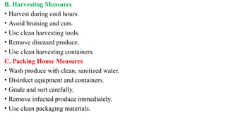 B. Harvesting Measures
• Harvest during cool hours.
• Avoid bruising and cuts.
• Use clean harvesting tools.
• Remove diseased produce.
• Use clean harvesting containers.
C. Packing House Measures
• Wash produce with clean, sanitized water.
• Disinfect equipment and containers.
• Grade and sort carefully.
• Remove infected produce immediately.
• Use clean packaging materials.
 