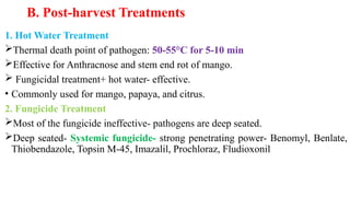 B. Post-harvest Treatments
1. Hot Water Treatment
Thermal death point of pathogen: 50-55°C for 5-10 min
Effective for Anthracnose and stem end rot of mango.
 Fungicidal treatment+ hot water- effective.
• Commonly used for mango, papaya, and citrus.
2. Fungicide Treatment
Most of the fungicide ineffective- pathogens are deep seated.
Deep seated- Systemic fungicide- strong penetrating power- Benomyl, Benlate,
Thiobendazole, Topsin M-45, Imazalil, Prochloraz, Fludioxonil
 