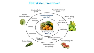 Hot Water Treatment
 
