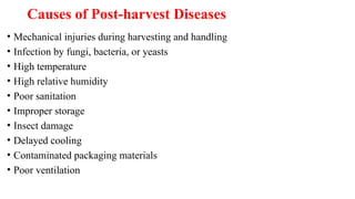 Causes of Post-harvest Diseases
• Mechanical injuries during harvesting and handling
• Infection by fungi, bacteria, or yeasts
• High temperature
• High relative humidity
• Poor sanitation
• Improper storage
• Insect damage
• Delayed cooling
• Contaminated packaging materials
• Poor ventilation
 