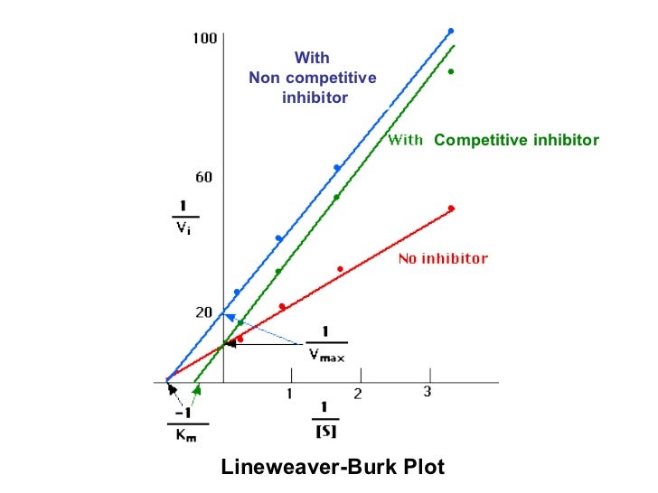 7.29.10 enzymes coloso