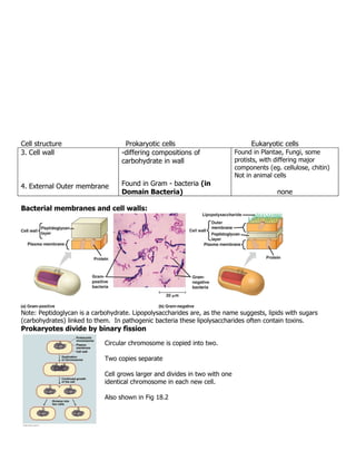 Cell structure                      Prokaryotic cells                              Eukaryotic cells
3. Cell wall                       -differing compositions of                Found in Plantae, Fungi, some
                                   carbohydrate in wall                      protists, with differing major
                                                                             components (eg. cellulose, chitin)
                                                                             Not in animal cells
4. External Outer membrane         Found in Gram - bacteria (in
                                   Domain Bacteria)                                         none

Bacterial membranes and cell walls:




Note: Peptidoglycan is a carbohydrate. Lipopolysaccharides are, as the name suggests, lipids with sugars
(carbohydrates) linked to them. In pathogenic bacteria these lipolysaccharides often contain toxins.
Prokaryotes divide by binary fission

                             Circular chromosome is copied into two.

                             Two copies separate

                             Cell grows larger and divides in two with one
                             identical chromosome in each new cell.

                             Also shown in Fig 18.2
 