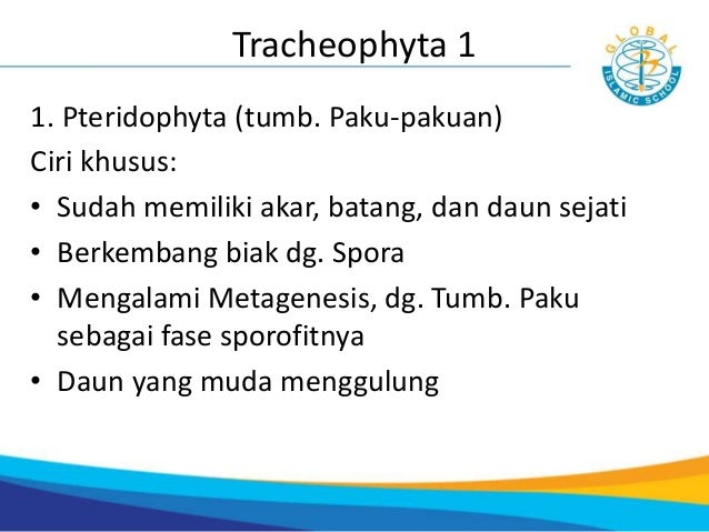 7 3 Klasifikasi Makhluk Hidup